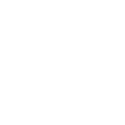 UI/UX Design